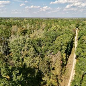 Photo #22 of SOLD property in Lots 2 & 5 Off Woodberry Drive, Grimesland, NC 10.2 acres