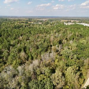 Photo #23 of SOLD property in Lots 2 & 5 Off Woodberry Drive, Grimesland, NC 10.2 acres