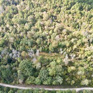 Photo #24 of SOLD property in Lots 2 & 5 Off Woodberry Drive, Grimesland, NC 10.2 acres