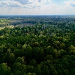 Photo #4 of SOLD property in Lots 2 & 5 Off Woodberry Drive, Grimesland, NC 10.2 acres