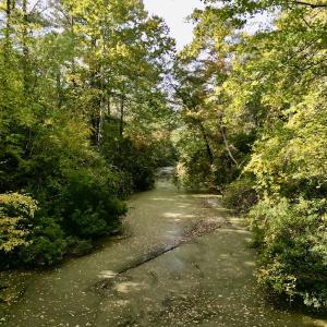 Photo #34 of SOLD property in Lots 2 & 5 Off Woodberry Drive, Grimesland, NC 10.2 acres