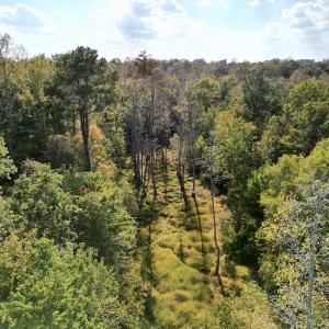 Photo #35 of SOLD property in Lots 2 & 5 Off Woodberry Drive, Grimesland, NC 10.2 acres
