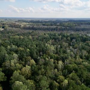 Photo #6 of SOLD property in Lots 2 & 5 Off Woodberry Drive, Grimesland, NC 10.2 acres