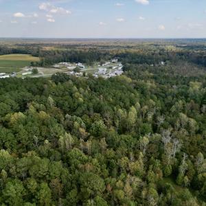 Photo #7 of SOLD property in Lots 2 & 5 Off Woodberry Drive, Grimesland, NC 10.2 acres