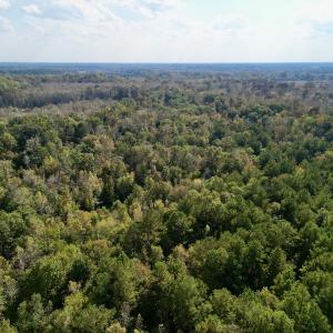 Photo #9 of SOLD property in Lots 2 & 5 Off Woodberry Drive, Grimesland, NC 10.2 acres