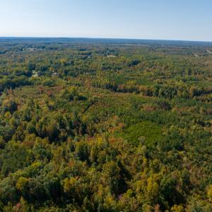 Photo #8 of SOLD property in Off Stoney Creek School Road, Reidsville, NC 19.5 acres