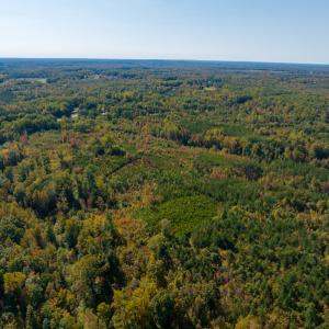 Photo #9 of SOLD property in Off Stoney Creek School Road, Reidsville, NC 19.5 acres