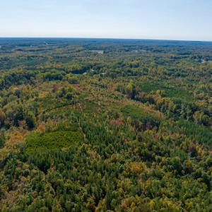 Photo #10 of SOLD property in Off Stoney Creek School Road, Reidsville, NC 19.5 acres