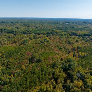 Photo #11 of SOLD property in Off Stoney Creek School Road, Reidsville, NC 19.5 acres