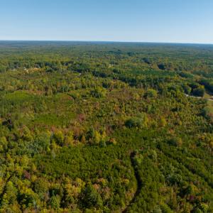Photo #12 of SOLD property in Off Stoney Creek School Road, Reidsville, NC 19.5 acres