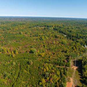 Photo #13 of SOLD property in Off Stoney Creek School Road, Reidsville, NC 19.5 acres