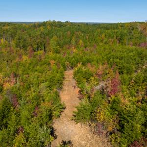 Photo #16 of SOLD property in Off Stoney Creek School Road, Reidsville, NC 19.5 acres