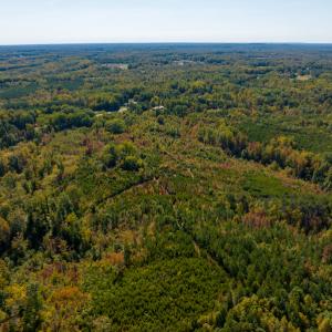 Photo #18 of SOLD property in Off Stoney Creek School Road, Reidsville, NC 19.5 acres
