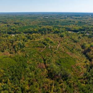 Photo #19 of SOLD property in Off Stoney Creek School Road, Reidsville, NC 19.5 acres
