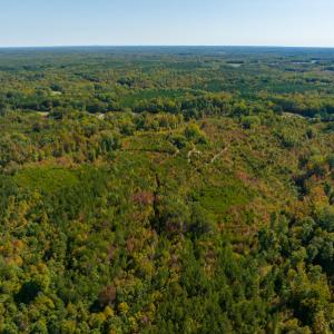 Photo #20 of SOLD property in Off Stoney Creek School Road, Reidsville, NC 19.5 acres