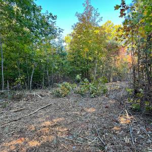 Photo #22 of SOLD property in Off Stoney Creek School Road, Reidsville, NC 19.5 acres