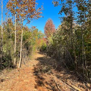 Photo #23 of SOLD property in Off Stoney Creek School Road, Reidsville, NC 19.5 acres