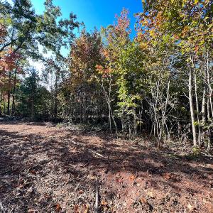 Photo #24 of SOLD property in Off Stoney Creek School Road, Reidsville, NC 19.5 acres