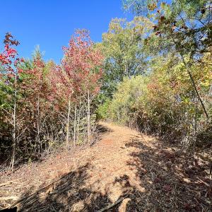 Photo #25 of SOLD property in Off Stoney Creek School Road, Reidsville, NC 19.5 acres