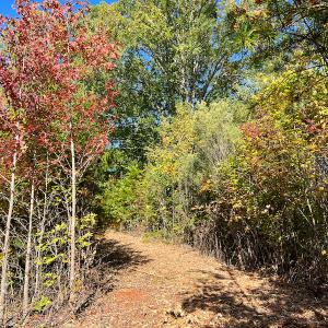 Photo #26 of SOLD property in Off Stoney Creek School Road, Reidsville, NC 19.5 acres