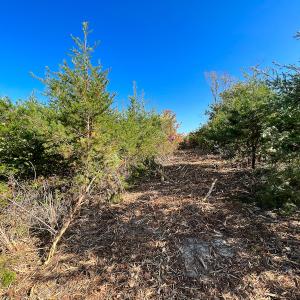 Photo #28 of SOLD property in Off Stoney Creek School Road, Reidsville, NC 19.5 acres
