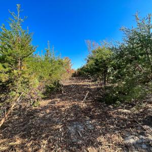 Photo #29 of SOLD property in Off Stoney Creek School Road, Reidsville, NC 19.5 acres