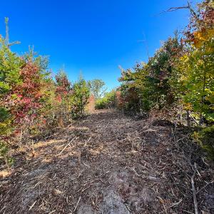 Photo #30 of SOLD property in Off Stoney Creek School Road, Reidsville, NC 19.5 acres
