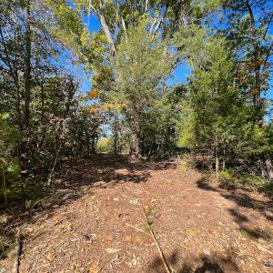 Photo #31 of SOLD property in Off Stoney Creek School Road, Reidsville, NC 19.5 acres