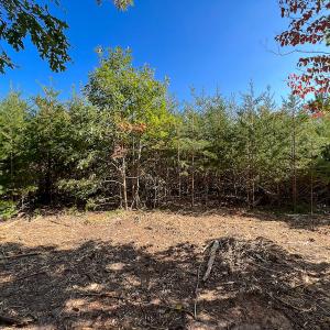 Photo #32 of SOLD property in Off Stoney Creek School Road, Reidsville, NC 19.5 acres