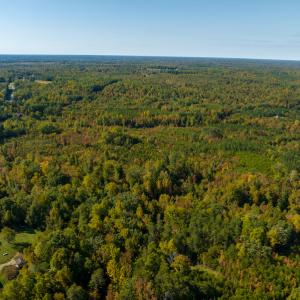 Photo #7 of SOLD property in Off Stoney Creek School Road, Reidsville, NC 19.5 acres