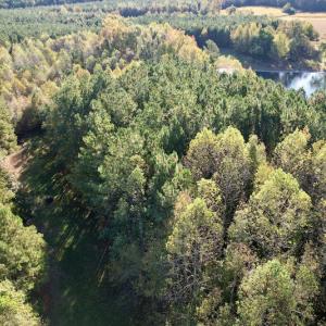 Photo #10 of SOLD property in Off Christanna Hwy, Alberta, VA 18.2 acres