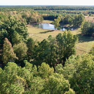 Photo #11 of SOLD property in Off Christanna Hwy, Alberta, VA 18.2 acres