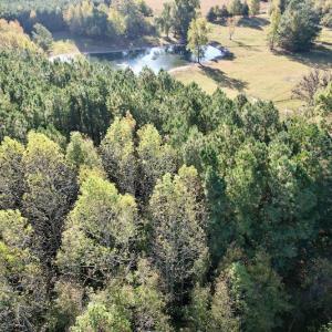Photo #12 of SOLD property in Off Christanna Hwy, Alberta, VA 18.2 acres