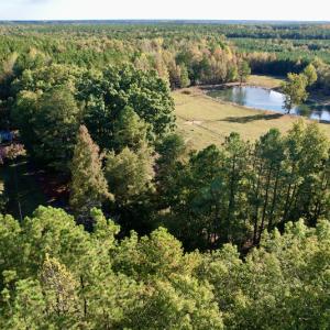 Photo #13 of SOLD property in Off Christanna Hwy, Alberta, VA 18.2 acres