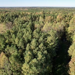 Photo #15 of SOLD property in Off Christanna Hwy, Alberta, VA 18.2 acres