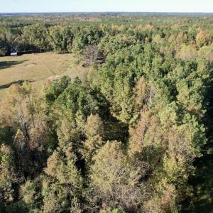 Photo #16 of SOLD property in Off Christanna Hwy, Alberta, VA 18.2 acres