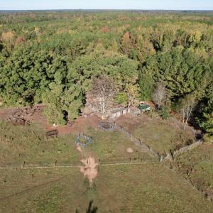 Photo #18 of SOLD property in Off Christanna Hwy, Alberta, VA 18.2 acres