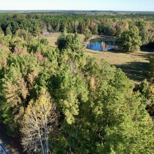 Photo #2 of SOLD property in Off Christanna Hwy, Alberta, VA 18.2 acres