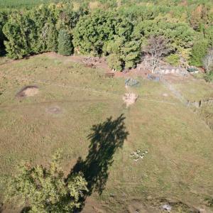Photo #19 of SOLD property in Off Christanna Hwy, Alberta, VA 18.2 acres