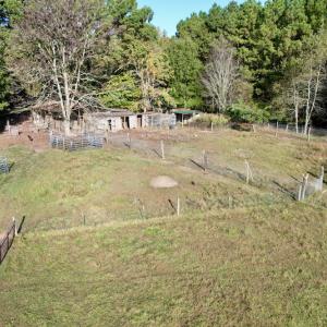 Photo #20 of SOLD property in Off Christanna Hwy, Alberta, VA 18.2 acres
