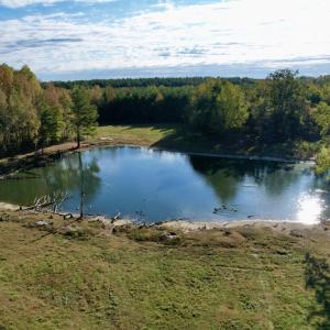 Photo #22 of SOLD property in Off Christanna Hwy, Alberta, VA 18.2 acres