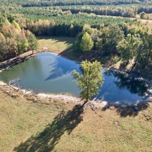 Photo #23 of SOLD property in Off Christanna Hwy, Alberta, VA 18.2 acres