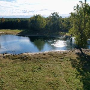 Photo #25 of SOLD property in Off Christanna Hwy, Alberta, VA 18.2 acres