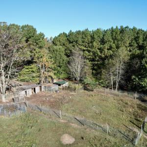 Photo #28 of SOLD property in Off Christanna Hwy, Alberta, VA 18.2 acres
