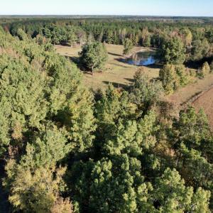 Photo #3 of SOLD property in Off Christanna Hwy, Alberta, VA 18.2 acres