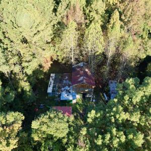 Photo #31 of SOLD property in Off Christanna Hwy, Alberta, VA 18.2 acres
