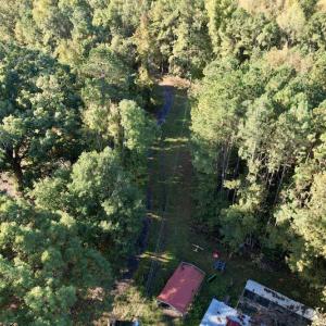 Photo #32 of SOLD property in Off Christanna Hwy, Alberta, VA 18.2 acres