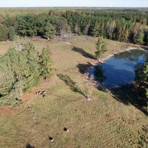 Photo #4 of SOLD property in Off Christanna Hwy, Alberta, VA 18.2 acres
