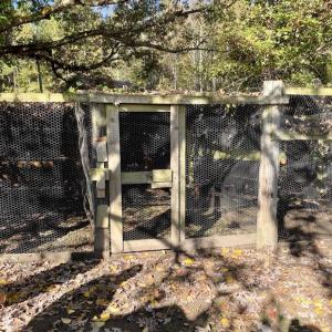 Photo #36 of SOLD property in Off Christanna Hwy, Alberta, VA 18.2 acres
