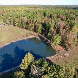 Photo #6 of SOLD property in Off Christanna Hwy, Alberta, VA 18.2 acres